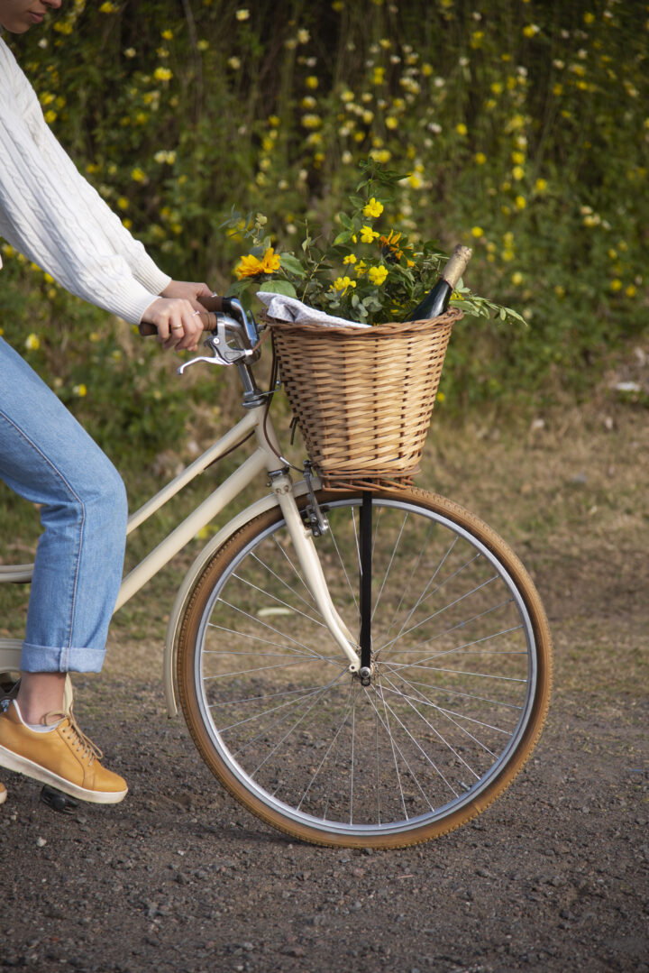 Side View Adult Riding Bicycle